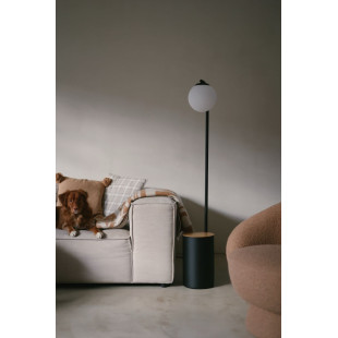 Lampa stojąca Kaspa Botanica: Szklana kula, doniczka, 147cm - Skandynawski desig