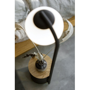 Lampa stojąca Kaspa Botanica: Szklana kula, doniczka, 147cm - Skandynawski desig