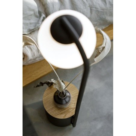 Lampa stojąca Kaspa Botanica: Szklana kula, doniczka, 147cm - Skandynawski desig
