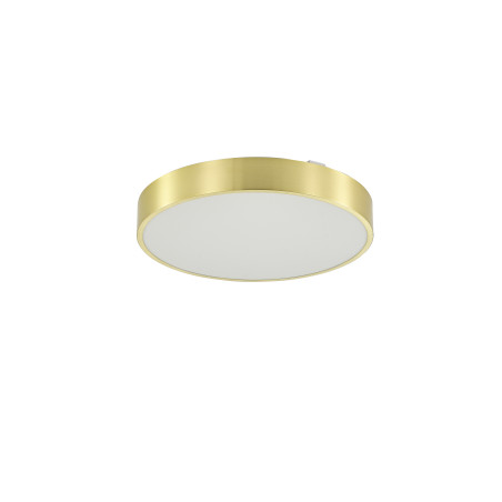Plafon LED Nadi ZumaLine: Regulacja barwy, złoty, 50cm