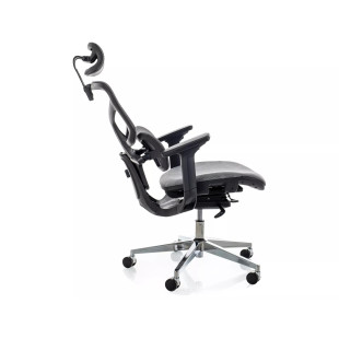 Fotel biurkowy ergonomiczny Signal EQ-1 szary - Komfort i styl