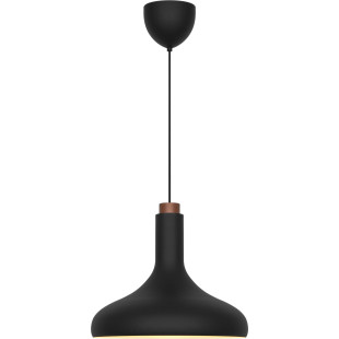 Fuji | Pendant | Black DFTP