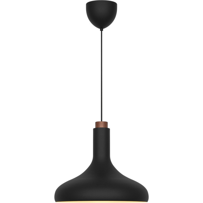 Fuji | Pendant | Black DFTP