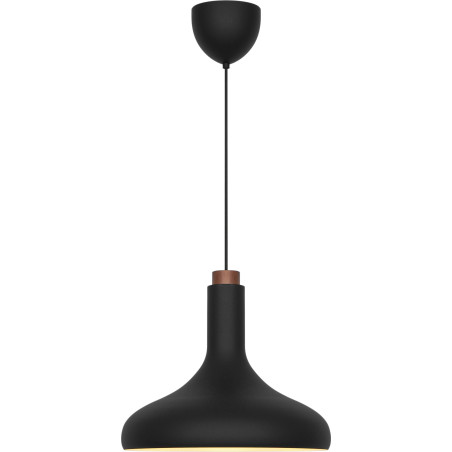 Fuji | Pendant | Black DFTP