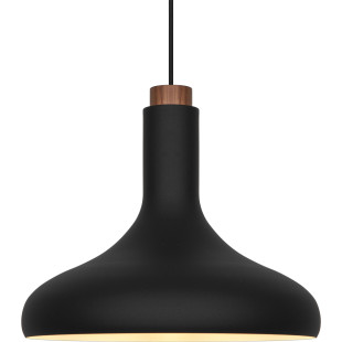 Fuji | Pendant | Black DFTP
