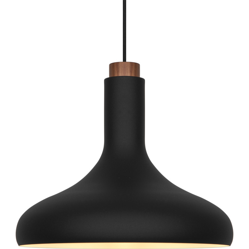 Fuji | Pendant | Black DFTP