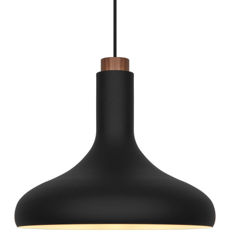 Fuji | Pendant | Black DFTP