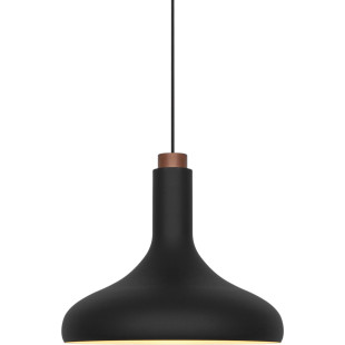Fuji | Pendant | Black DFTP