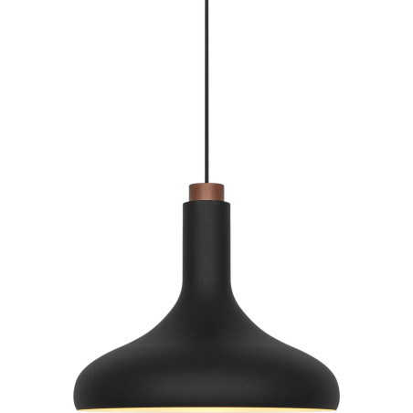 Fuji | Pendant | Black DFTP