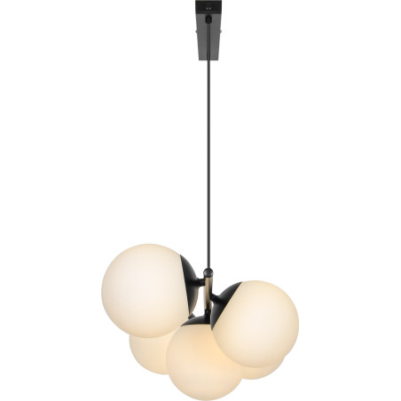 Lilly 5-spot | Pendant | Black Nordlux