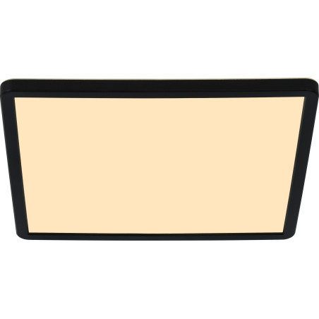 Oja 29 Outdoor Square | Ceiling light | Black Nordlux