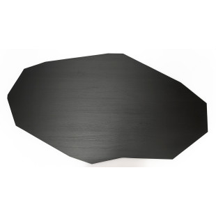 Stół dębowy nieregularny na jednej nodze Object110 180x100cm czarny NG Design