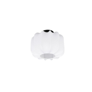 MADLEINE Ceiling lamp excl.1xE27 19cm/ D 25cm/  Reality