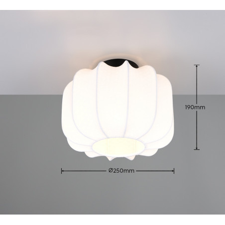 MADLEINE Ceiling lamp excl.1xE27 19cm/ D 25cm/  Reality