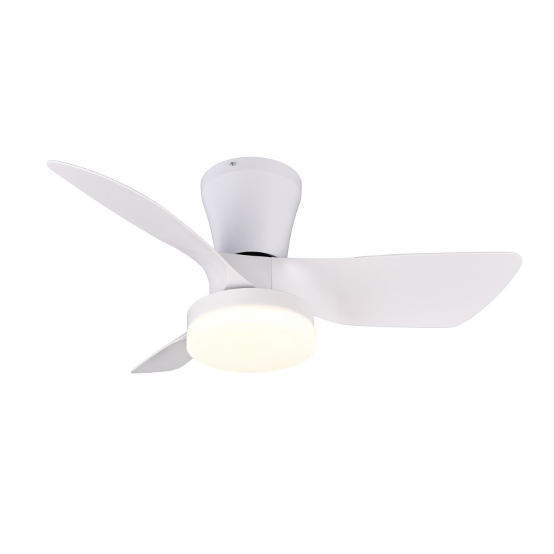 RANDERS Ceiling lamp incl.1x22W LED/2200Lm/2700 - 6000K 26cm/ D 76cm/  Reality