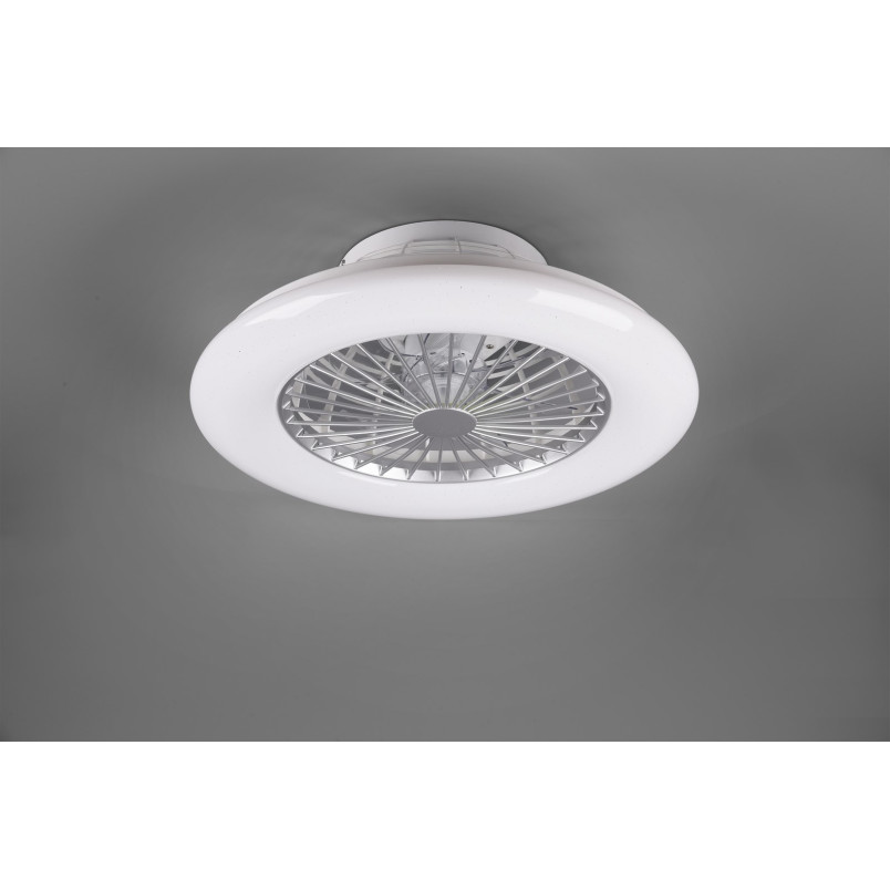 STRALSUND Ceiling lamp incl. 30W LED/ 3000-6500K/ 2200Lm D 50cm/ ↕20cm  Reality
