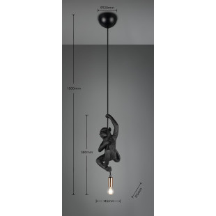 FIPS Pendant 1x E14 (excl.) 13.5*19.5*38 Reality