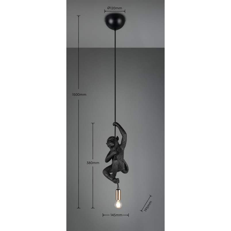 FIPS Pendant 1x E14 (excl.) 13.5*19.5*38 Reality