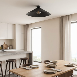 Lampa Mono 1L Plafon Bl Grafit Emibig
