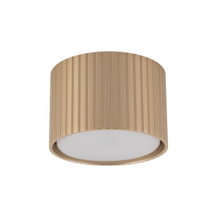 Ferro Champagne Downlight+ Gx53 Tk Lighting