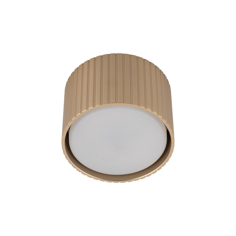 Ferro Champagne Downlight+ Gx53 Tk Lighting