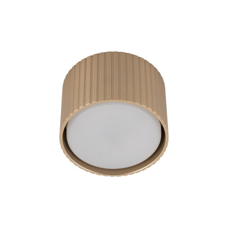 Ferro Champagne Downlight+ Gx53 Tk Lighting