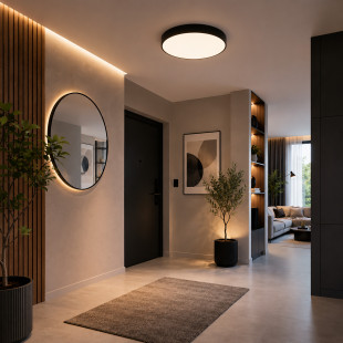 Velis Black Plafon Led 30W Ip54 Tk Lighting