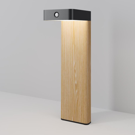 Solar powered lamp Nordis Black Maytoni