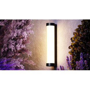 Outdoor wall luminaire Rounge Black Maytoni