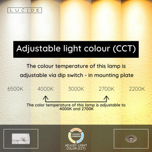 SANTIAGO Flush ceiling light Ø 23 cm LED Dim. CCT 1x10W 2700K/4000K Amber - Premium Lucide