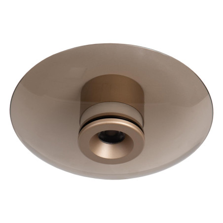 SANTIAGO Flush ceiling light Ø 23 cm LED Dim. CCT 1x10W 2700K/4000K Amber - Premium Lucide