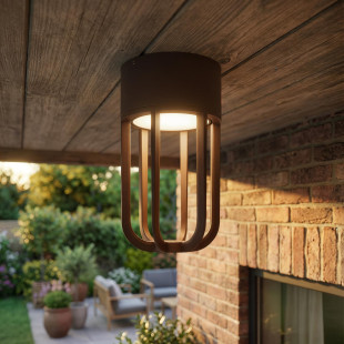 WELLS Flush ceiling light Indoor/Outdoor Ø 10 cm LED 1x8W 2700K IP54 Rust Brown - Essential Lucide