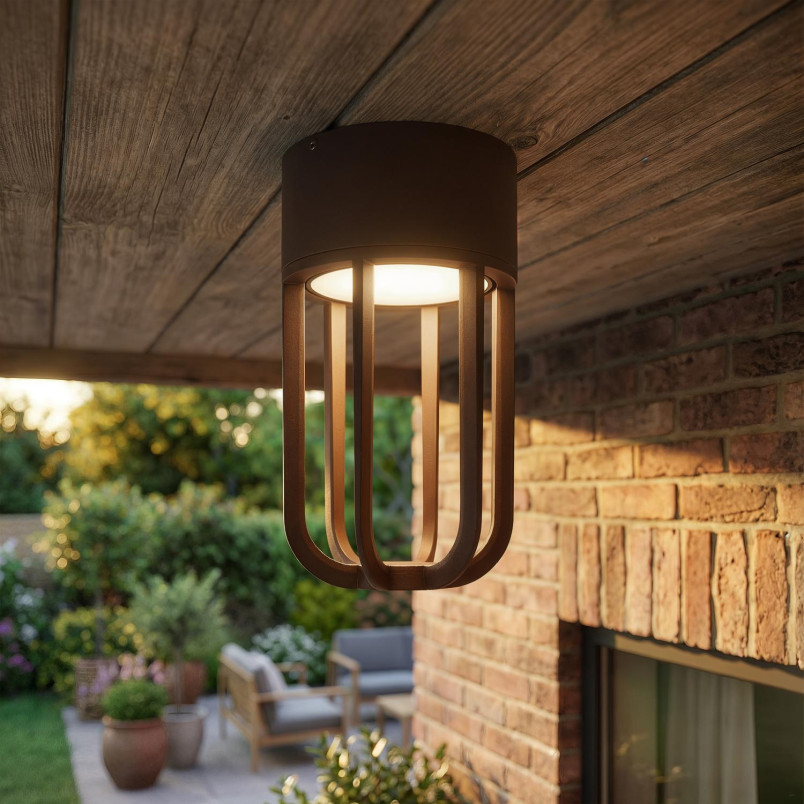 WELLS Flush ceiling light Indoor/Outdoor Ø 10 cm LED 1x8W 2700K IP54 Rust Brown - Essential Lucide