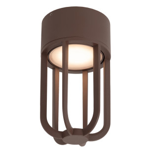 WELLS Flush ceiling light Indoor/Outdoor Ø 10 cm LED 1x8W 2700K IP54 Rust Brown - Essential Lucide