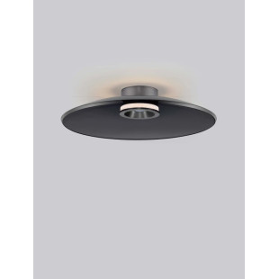 Plafon szklany - ściemniacz triac Loggi 50cm LED 3000K szkło dymione / ciemny nikiel