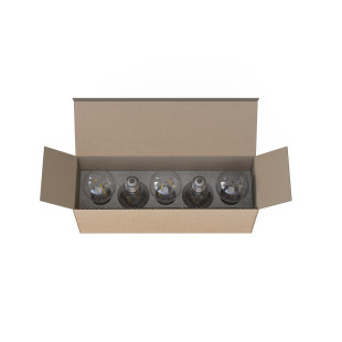 Zestaw 5 żarówek A60 LED 2W E27 2200K 6cm Nowodvorski