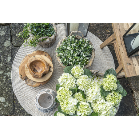 Zestaw 3 koszy rattanowych z uchwytami Kuta House Nordic