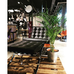 Fotel skórzany pikowany BA1 czarny | D2.Design - Komfort i styl