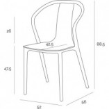 Krzesło Bella D2 Design - Drewno Orzech, Nowoczesny Design