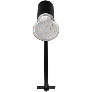 Lampa biurkowa Trio Giada czarna | Nowoczesny design