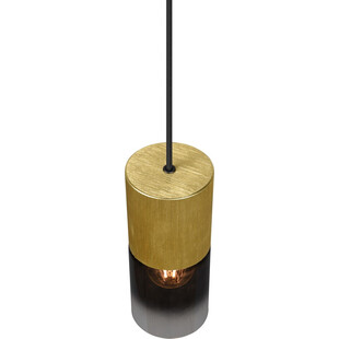 Lampa wisząca Trio Robin: Szkło dymione, mosiądz - Kup teraz!