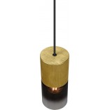 Lampa wisząca Trio Robin: Szkło dymione, mosiądz - Kup teraz!