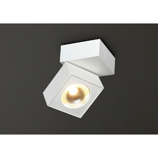 Reflektor sufitowy Artu biały - nowoczesne oświetlenie MaxLight