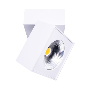 Reflektor sufitowy nowoczesny Artu Biały marki MaxLight